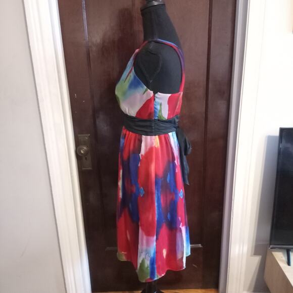 The Limited Empire Waist Dress Watercolor Tie Dye Red Poppy Floral Chiffon Sz 4 - Picture 3 of 11